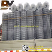 Concrete Galvanized Welded Wire Mesh